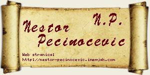 Nestor Pečinoćević vizit kartica